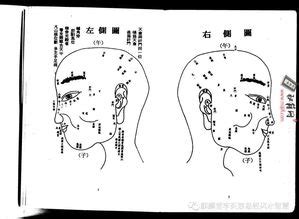 虎耳面相|面相中的虎耳寓意